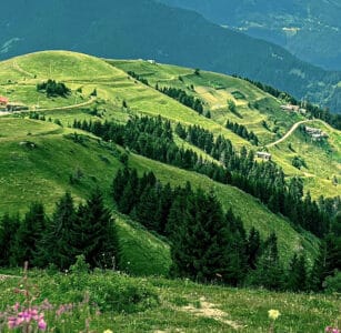 9th Al-Anon Convention in Grainau: Sept. 25-27, 2026