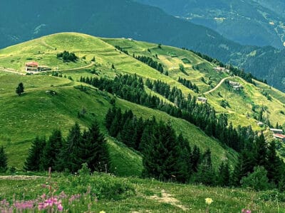 9th Al-Anon Convention in Grainau: Sept. 25-27, 2026